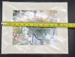 Floral Photography Picture Art by Lynn Jordan «The Flower Box & a Picket Fence»