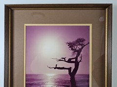 ART – VTG Original Signed Karl Bonfert 35mm Photograph CA 21.25×17.25 Framed Art