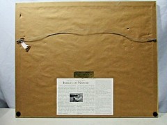 Thomas Mangelsen Le Danseur — Great Egret Framed Photograph