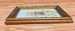 Lot 2 Vintage Gold Framed Black White Portrait Photographs Hand Painted Flowers