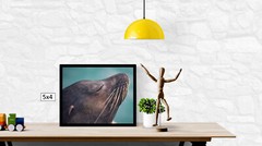 Sea Lion Headshot, High Resolution Image, Many Formats, TV Art