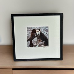 “Aquaeous Humor “ Dog & Monkey Matted And Framed By Jim Spillane photography.