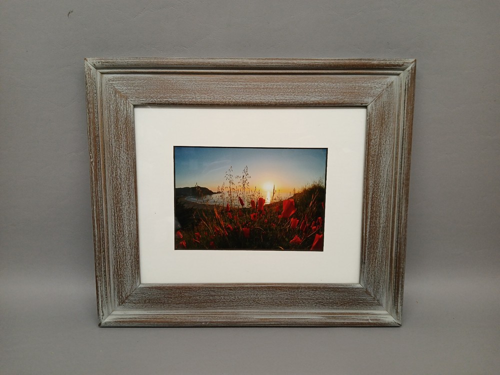 Tom Hart Flowers Beach Photograph Ocean Framed Art Decor