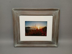 Tom Hart Flowers Beach Photograph Ocean Framed Art Decor