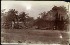 Larger size C. B. WAITE photo, Homes of coffee growers, Mexico, rare, , Vintage