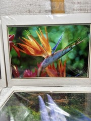 Set Of Four Hawaiian Landmark Images By Vincent K. Tylor