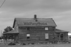 Old Barn Photo, Pick One Image – Various Sizes