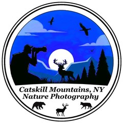Digital Image Picture Photo Wallpaper Background Desktop Art Deer Catskills NY