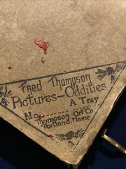 Vintage Fred Thompson Oddities Miniature Tray Art Pressed Moth & Plant Stamped