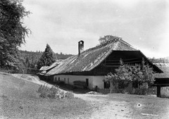 «Banernhaus Stmk» (Steiermark), farmhouse, Eduard PEZDIKA, vintage fine art nega