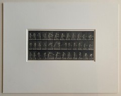 EADWEARD MUYBRIDGE authentic 1887 collotype ANIMAL LOCOMOTION PLATE 402 – lewitt