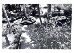 Alta Tingle Framed Garden Landscape Black & White Photograph 24″ SF Fine Art 90s