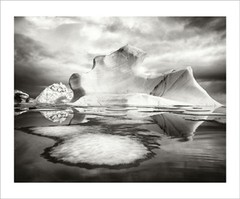 » ARCTICA : THE VANISHING NORTH » COLLECTOR’S EDITION BY COPELAND + SIGNED PRINT