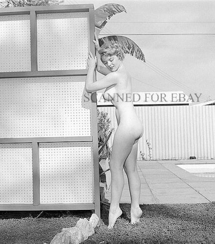 1950s model sexy photo busty female girl woman legs butt rear picture print J17