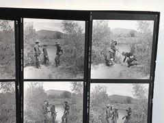 NEWLY FOUND! Hendrickson PHOTO Contact Sheet Proof & Negatives RESTING SOLDIERS