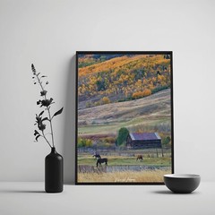 Autumn Forest Horse Barn-Landscape Photograph Nature Rural Wall Art Framed Print