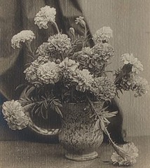 1920s «Marigolds» Bouquet Of Flowers In Vase Antique Bromide Photo Wilbur Taylor
