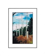 Old Guard 4×6 Photo in Unframed 8×10 Matted Print with COA and Signed by Artist