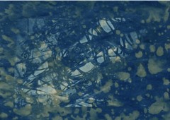 OOAK A4 CYANOTYPE Printmaking Alt Photography TONER TEST Nude Razor Wire Vintage