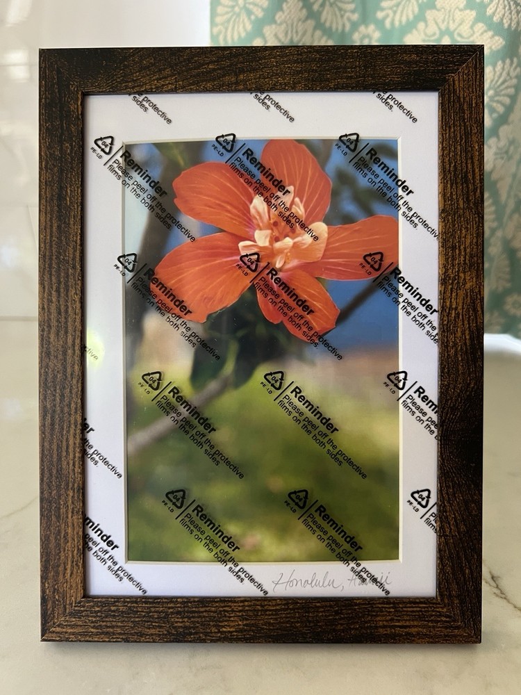 FRAMED ORIGINAL PHOTO FLOWER ORANGE SIGNED 5×7