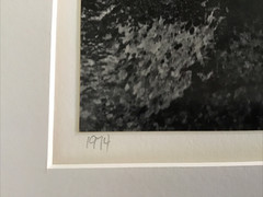 John Sexton signed photograph-White Branch, Yosemite 10×13 on 16×20 mat