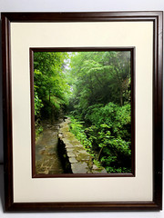 Glossy Photograph: Brook and Stone Wall. 15 in. x 12 in. Diane L. Deanna