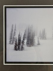 Signed David Whitten Limited Edition 35mm Photograph Print 17.5×14.75 Framed Art