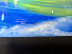 Peter Lik Original River Moods Limited Edition 121/950 Authentic