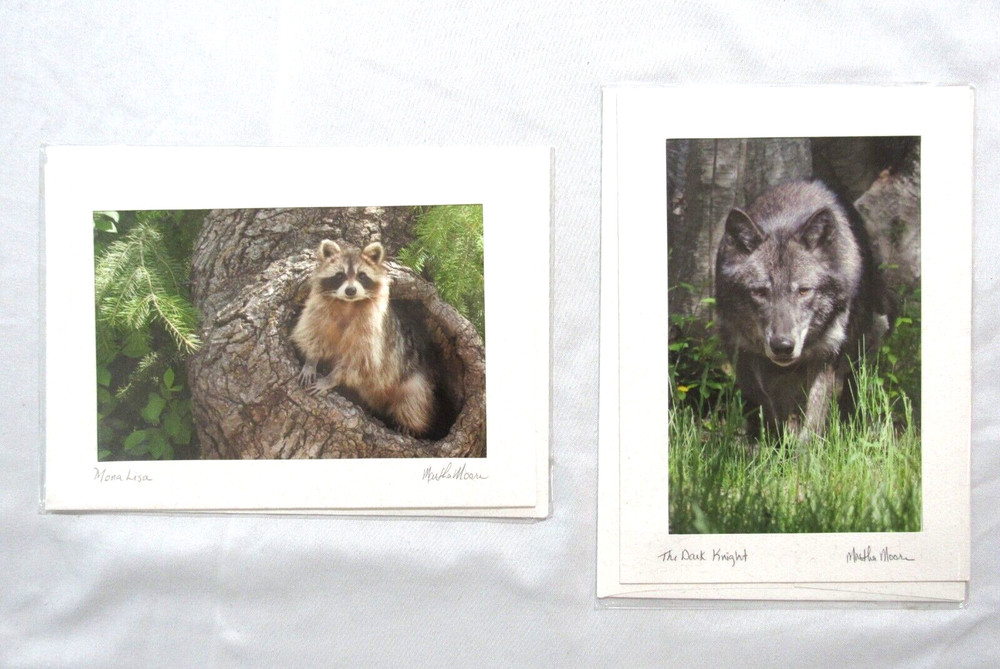 Lot Of 2 Martha Moore Original Signed Art Photography Postcard Envelope