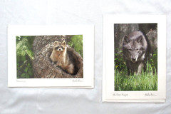 Lot Of 2 Martha Moore Original Signed Art Photography Postcard Envelope