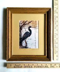Louisiana Heron Art Photo La Freniere Park – Framed, Matted & Numbered 10/50
