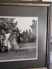 Large Native American Framed & Matted B/W Photograph Snake Dance 28″ X 19″