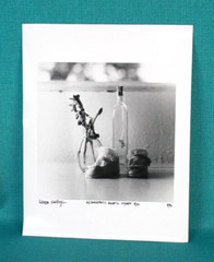 Vintage Photo Art Metamorphosis Aquatic Nymph 9/35 By Rebecca Gallagher 4/96