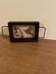 Vintage Fred Thompson Oddities Miniature Tray Art Pressed Moth & Plant Stamped