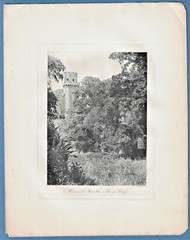 12 EARLY PHOTOGRAVURES ~ N.Y. PHOTOGRAVURE CO.; 1890s ~ SEE DETAILS