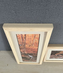 Joseph Barnett Photography Set of 2 Signed Autumn Themed Nature Framed Photos
