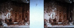 Stereoscopic Photo Plate Interior of Palace, Italy circa 1930