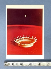 Milk Drop Coronet By Harold D. Edgerton Fotofolio Art Print Card 1988