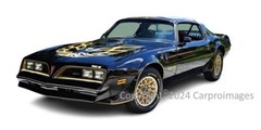 1976 Pontiac Trans Am Black Creator Authorized limited addition 8″X10″ Photo