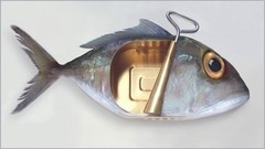 Canned FISH Fine Art Photograph Signed ORIGINAL Ltd Edition SURREALIST Print NEW