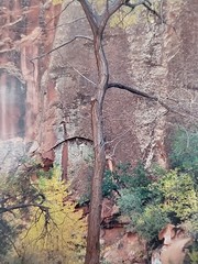 «Co-Op Creek» by Rick Preston 1988 #3, matted and signed,NO FRAME.