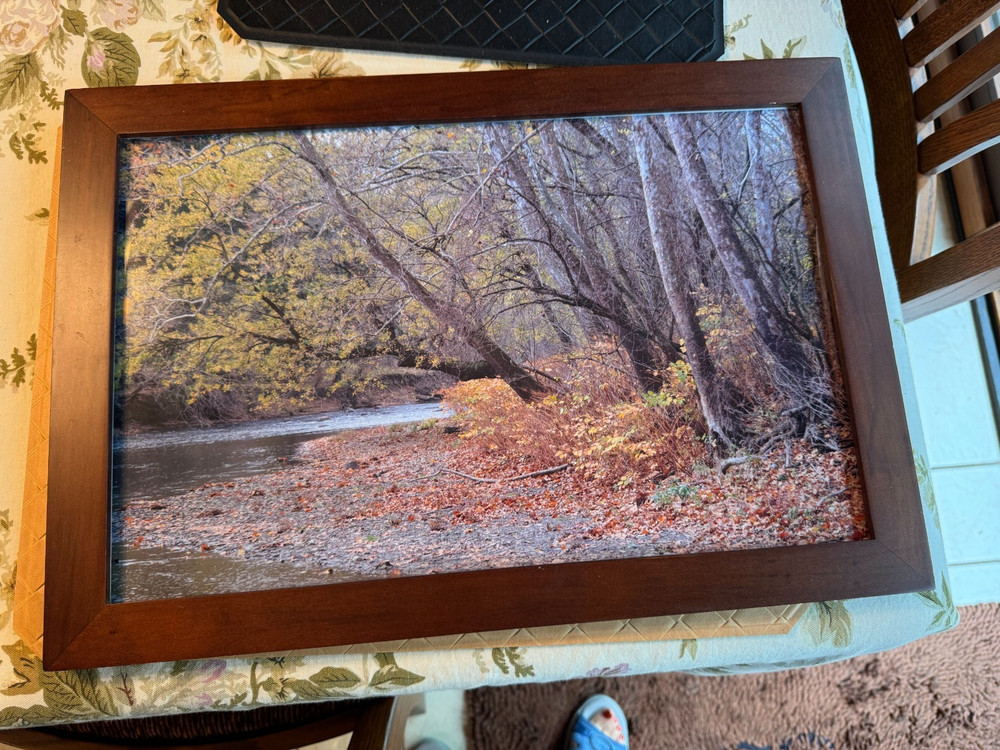 Colorful Fall Landscape Photograph Framed 19″ x 13″ by Hal Mitcheltree