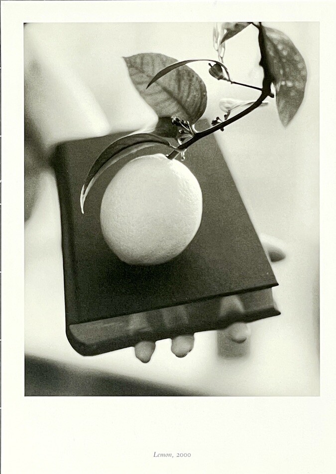 Victor Schrager (b. 1950) Art Show Announcement Card 2001 – Houk Gallery NYC