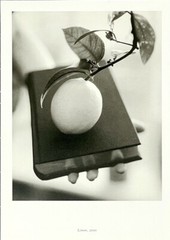 Victor Schrager (b. 1950) Art Show Announcement Card 2001 – Houk Gallery NYC
