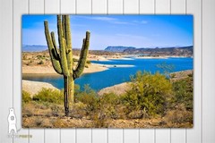Lake Pleasant Arizona – Fine Art Photography Prints – Canvas / Metal / Paper