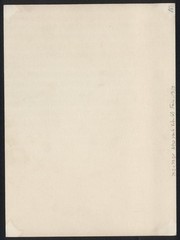 Photograph New York City, World’s Fair 1939, Windmill – Dutch Windmill with