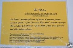 WOW 18″ x 12″ Photo Photograph Print BO BIXLER San Francisco Colorful Plant RARE