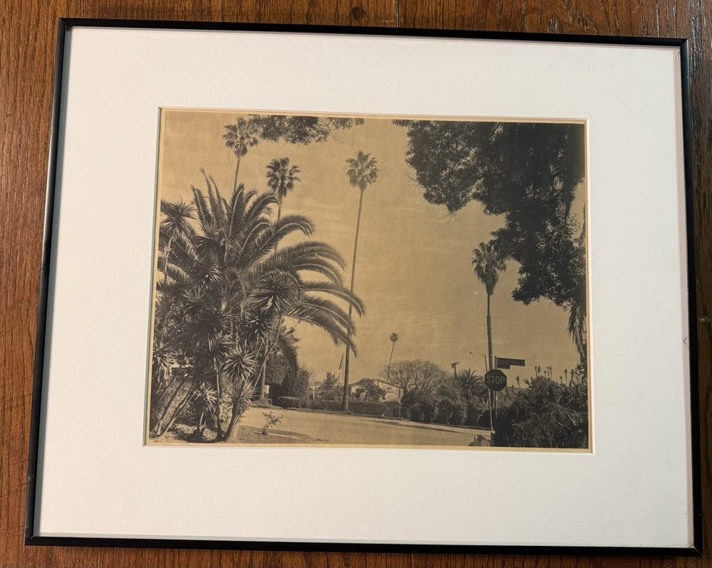 Bruce Fernandez Photography Grand View Bl Black And White Framed Photo 16”X20”