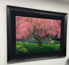 Peter Lik «Tree of Dreams» #58 1.5M Framed with LOA, Limited Edit