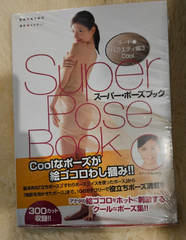 Super Pose Book – Miyuki Yokoyama / Posing Art Photo Book / Adult only – New